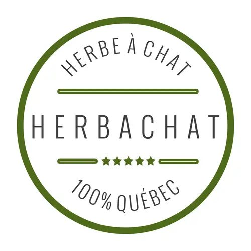 Herbachat