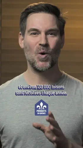 De la ferme au vêtement : pourquoi la relance de l’industrie de la laine pourrait représenter une occasion à saisir pour le Québec 🐑

Écoutez l’épisode complet de L’Arrière-Boutique avec @laurentturcot, lien en bio!

#AcheterLocal #LaineQuébécoise #FabriquéAuQuébec #ÉconomieLocale #LArrièreBoutique #TextileQuébécois #LHistoireNousLeDira #LaurentTurcot