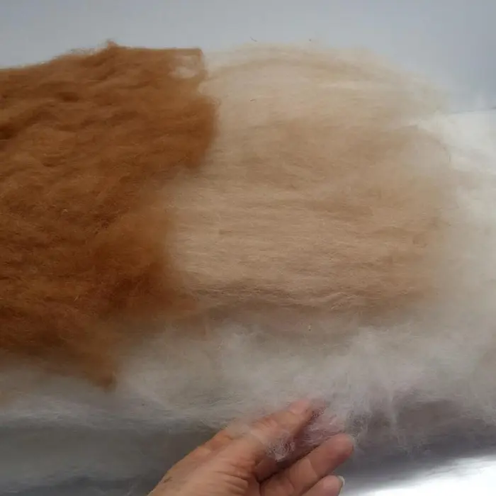 Fibre 100% alpaga cardée en nappe ou rondin (batting, roving)