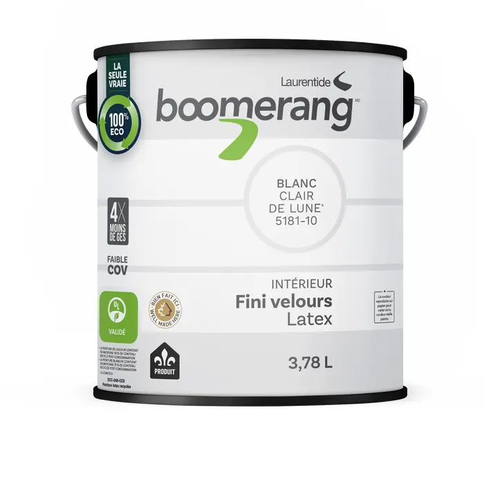 Peinture Boomerang