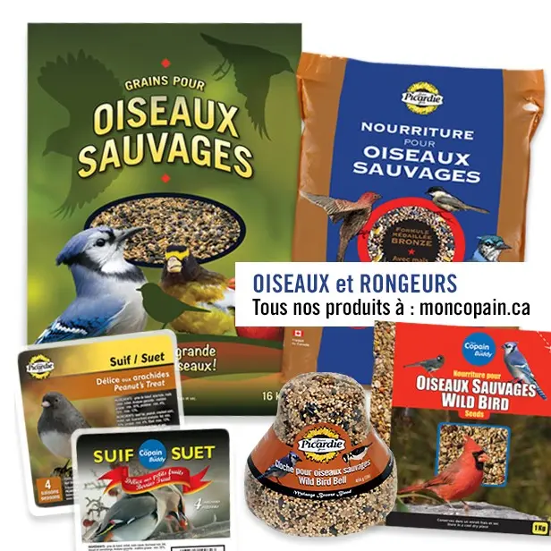 Lot d'aliments pour animaux 